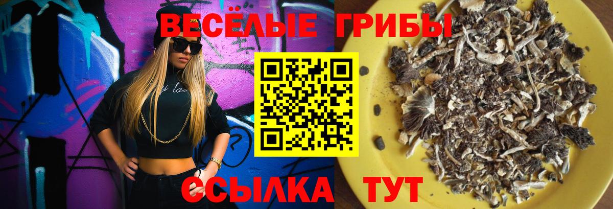 Галлюциногенные грибы Magic Shrooms Удомля
