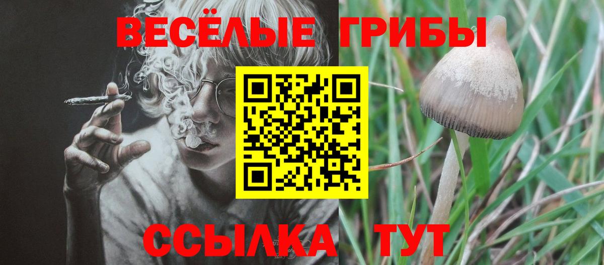 Псилоцибиновые грибы мухоморы  Галлюциногенные грибы MAGIC MUSHROOMS  Вход с VPN  даркнет сайт  Удомля 