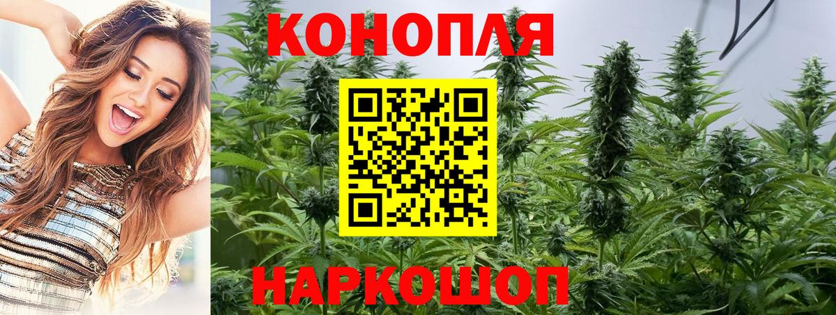Марихуана конопля  Бошки Шишки THC 21%  Вход с VPN  Конопля тримм  Удомля 